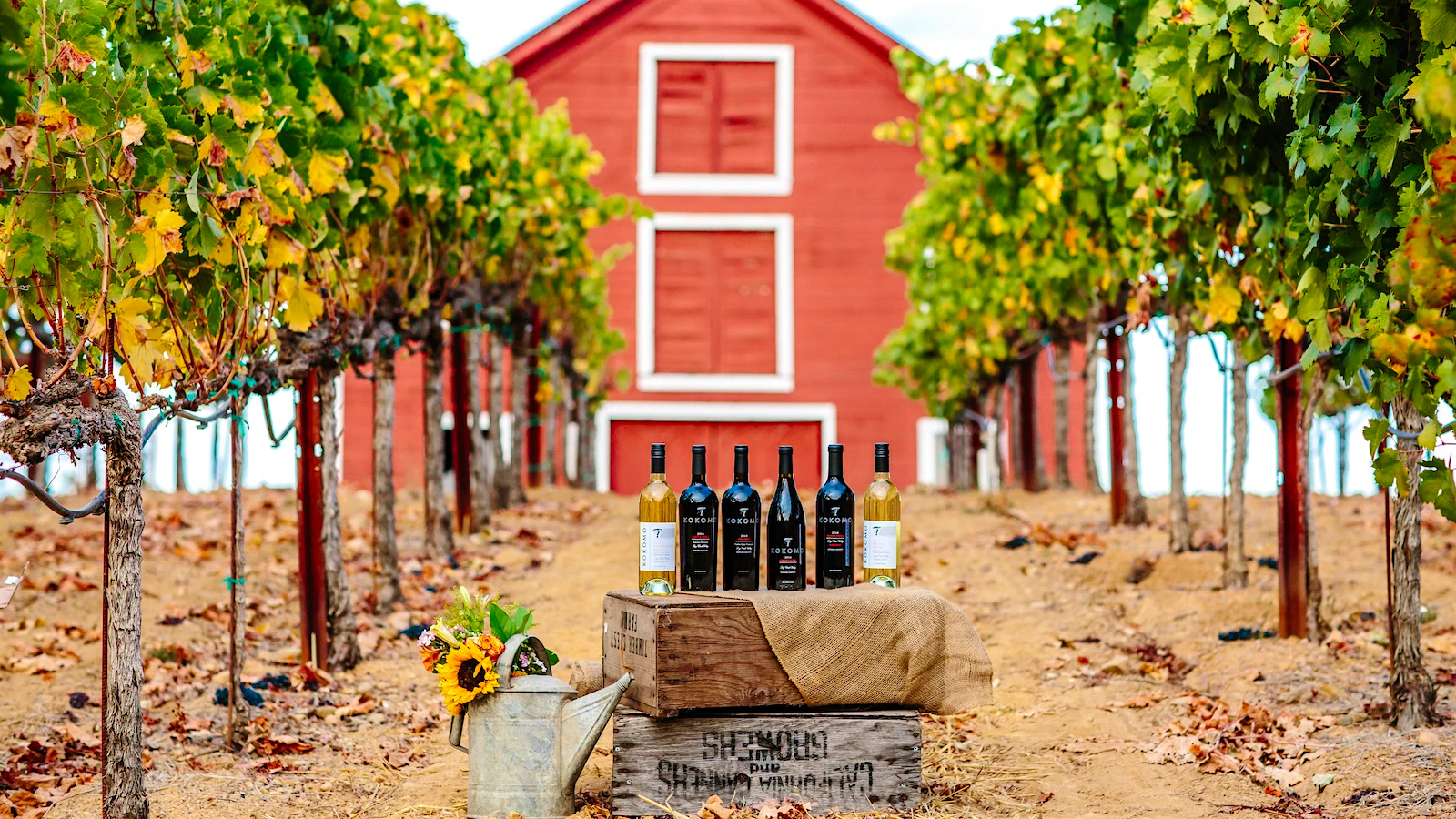 Kokomo Winery is surrounded by Timber Crest Farms' 120-acre vineyard on the east side of Sonoma's Dry Creek Valley.